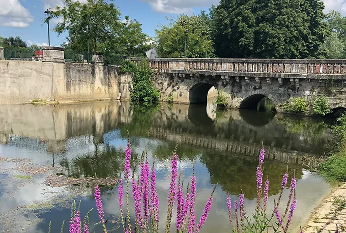 Adult flute courses in France